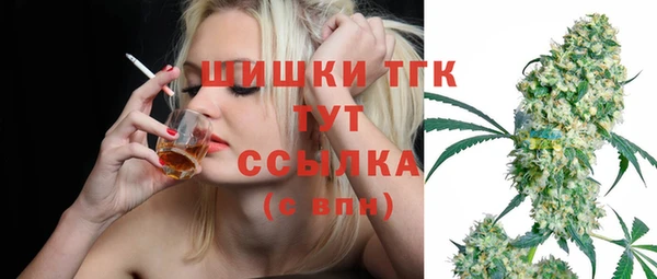 соль ск Слюдянка