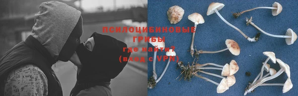 соль ск Слюдянка