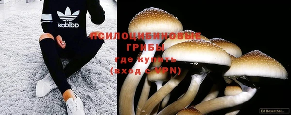 соль ск Слюдянка