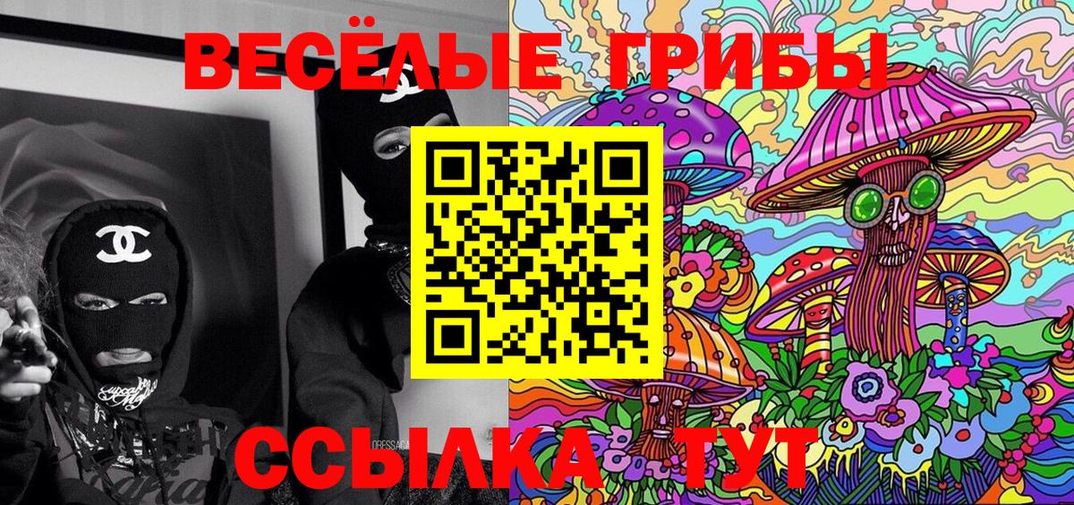 Янаул  Галлюциногенные грибы Cubensis  Вход с VPN 